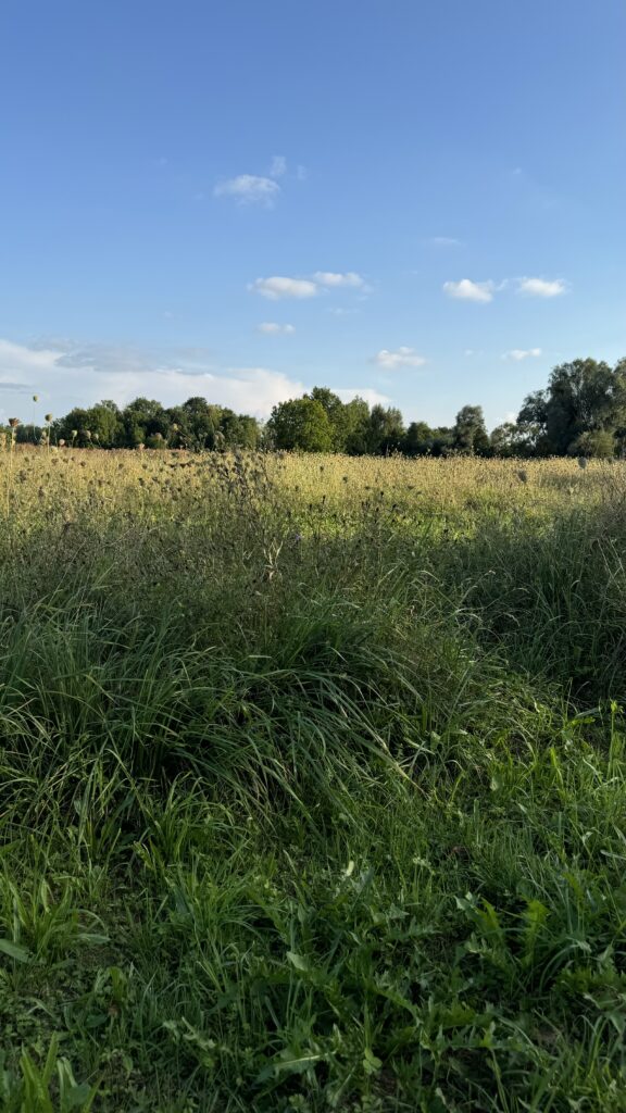 Das Resümee der Angst wo halten uns Ängste zurück? viele kleine dinge 